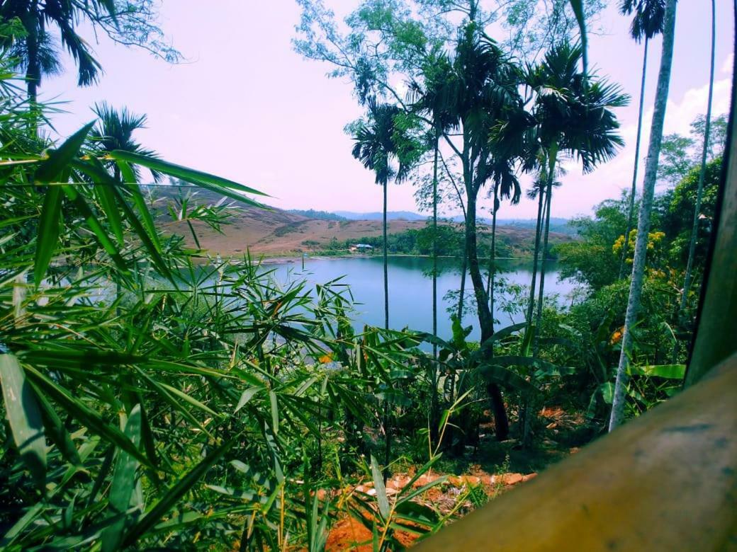 Ambalavayal Misty Mornings Resort מראה חיצוני תמונה