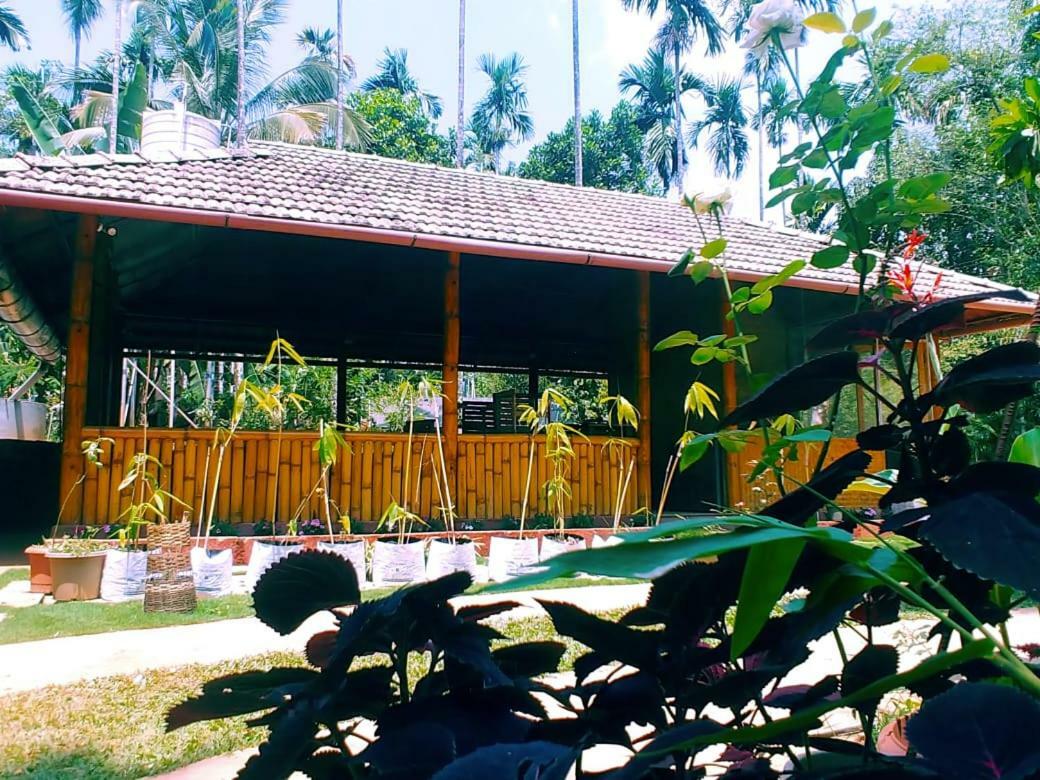 Ambalavayal Misty Mornings Resort מראה חיצוני תמונה