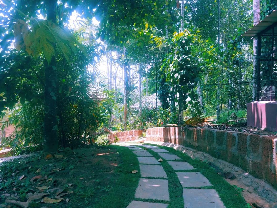 Ambalavayal Misty Mornings Resort מראה חיצוני תמונה
