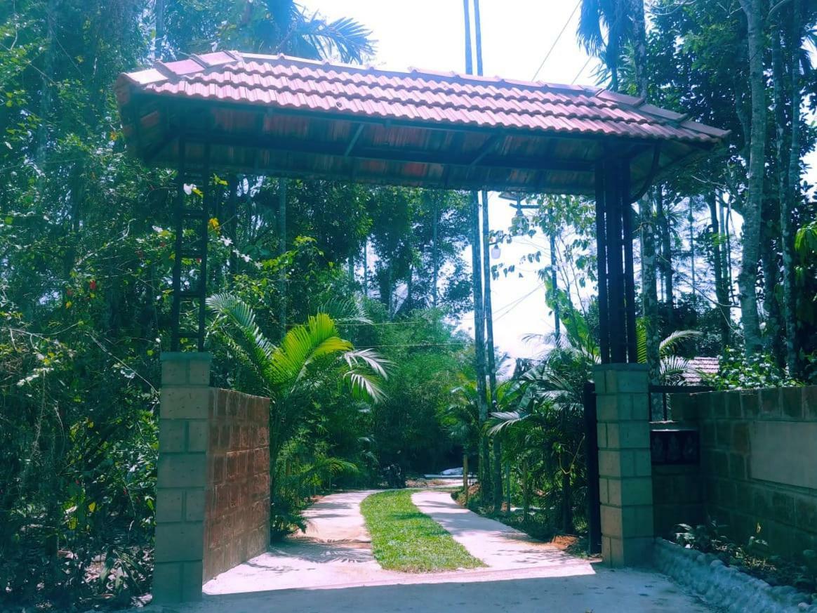 Ambalavayal Misty Mornings Resort מראה חיצוני תמונה