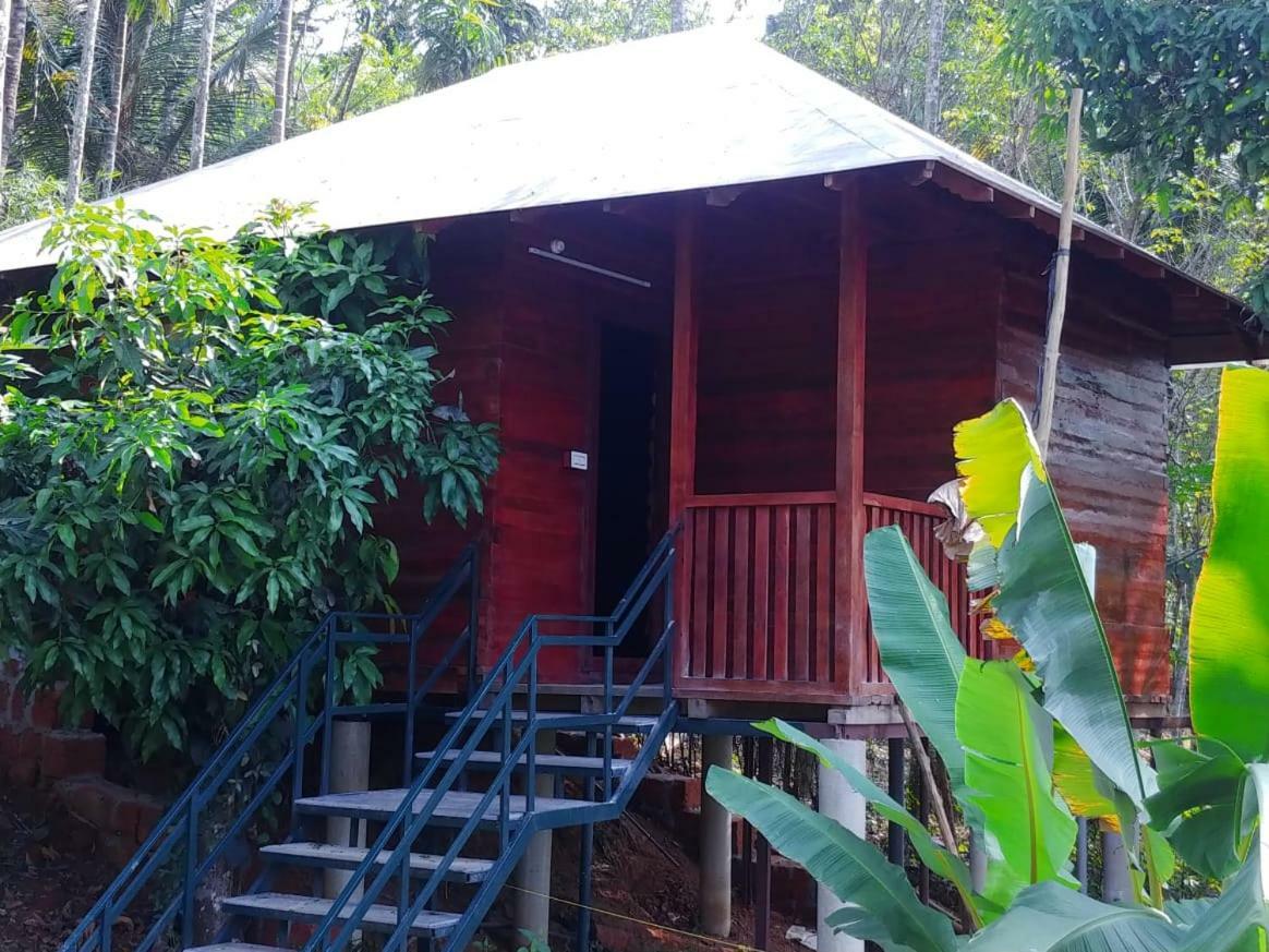 Ambalavayal Misty Mornings Resort מראה חיצוני תמונה